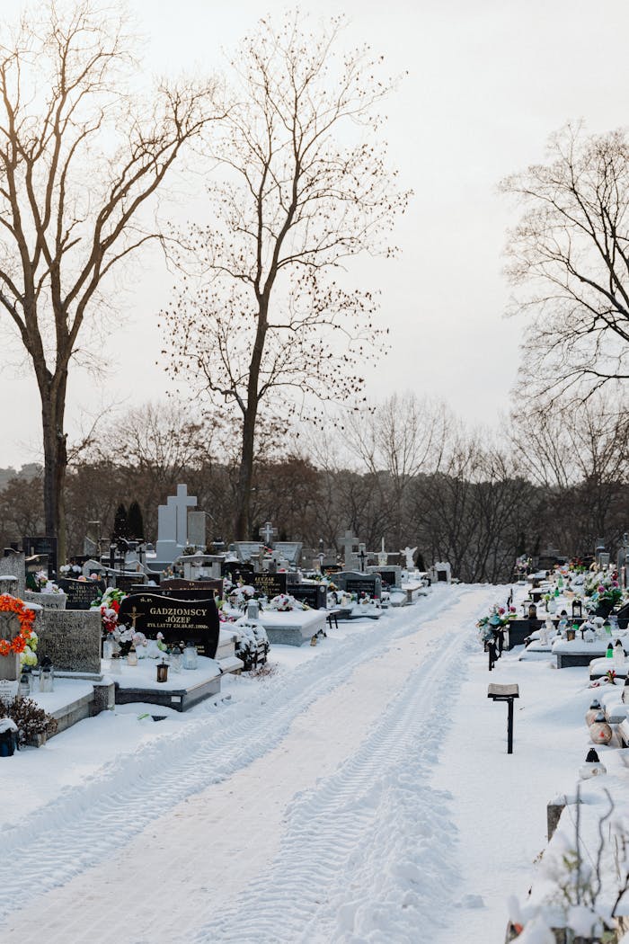 A peaceful cemetery with gravestones covered in snow, surrounded by bare trees.